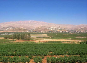 Bekaa Valley, Tourism-lebanon.com