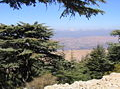 Chouf Lebanon Chouf Lebanon