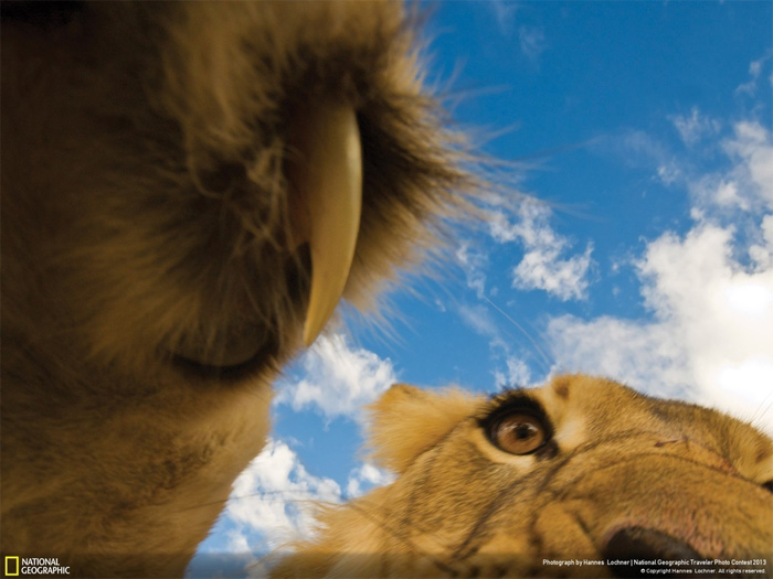 NatGeo, Traveler photo contest